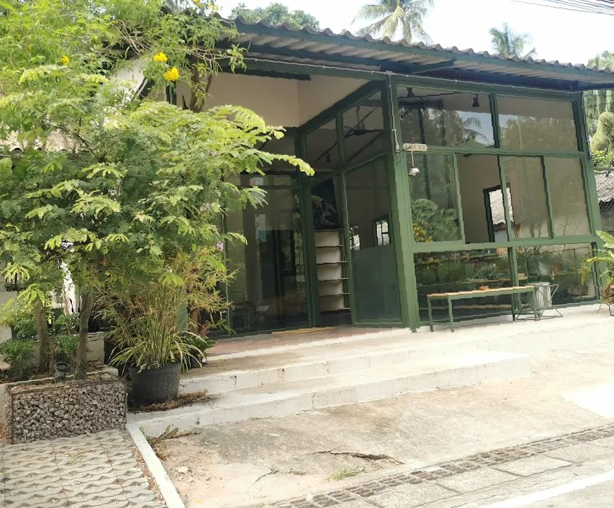 Buds Cannabis Shop Koh Tao