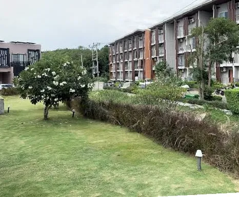 Condo Replay