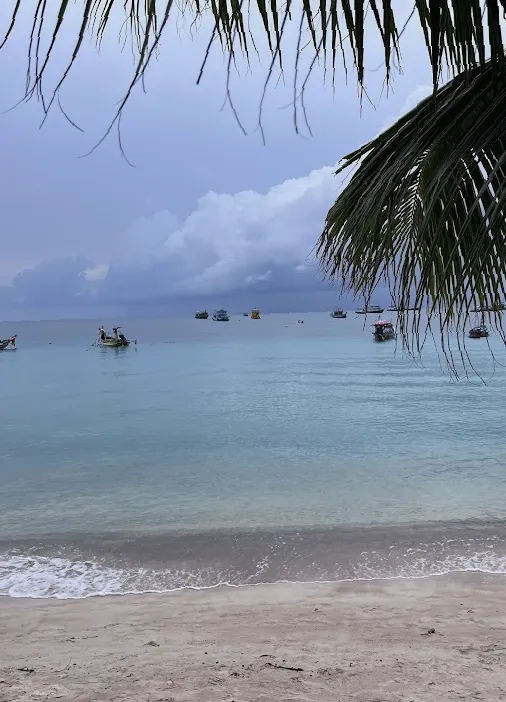 foot koh tao 10 seashell restaurant