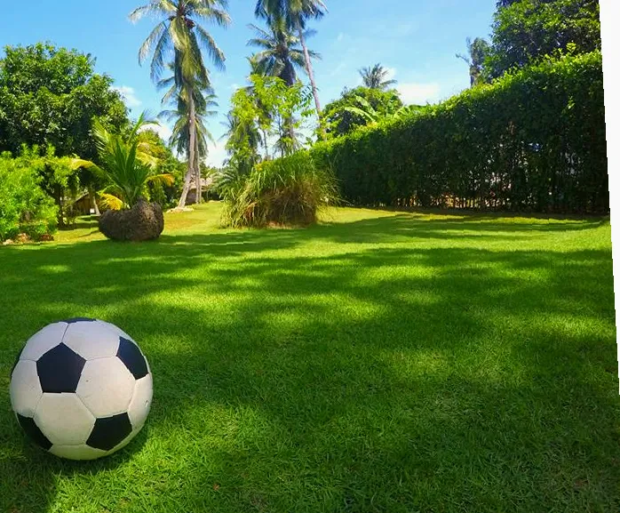 Samui Football Golf